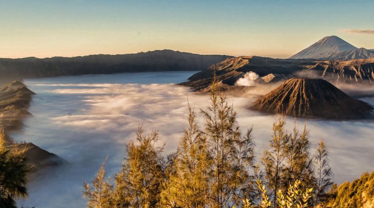 Mount Bromo View