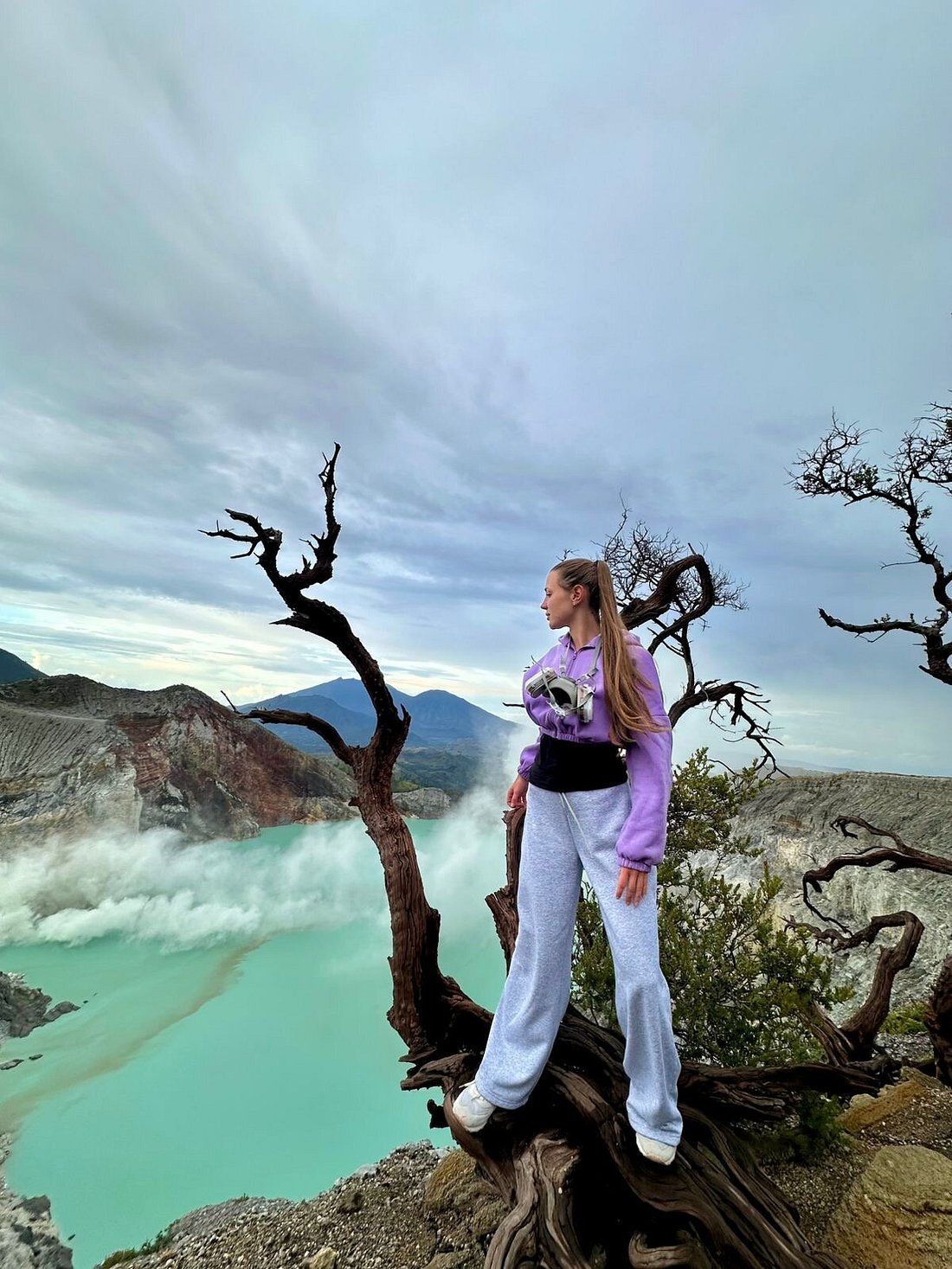 Ijen Old Tree Photo